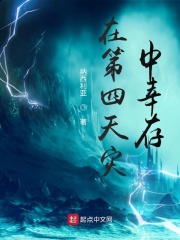 在第四天灾中