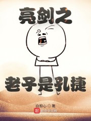 亮剑之老子是