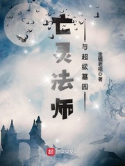 亡灵法师与超