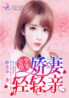 祁少老婆拆家