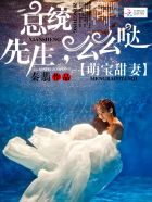 萌宝甜妻：总